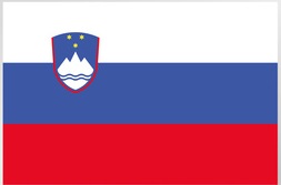 International healthcare insurance Slovenia